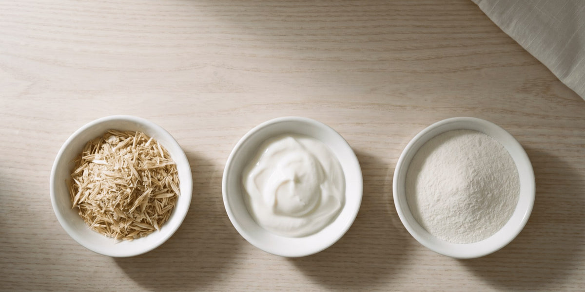 Three small white bowls in a row holding fibre, live yoghurt culture and a fine white powder — HLTH+